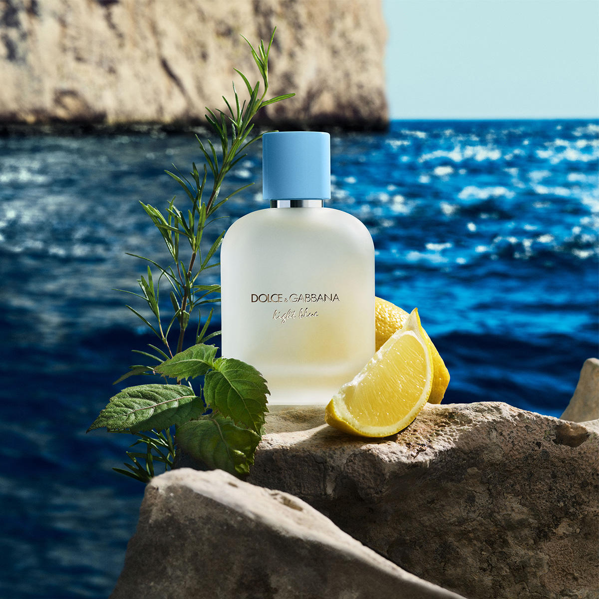 Parfum Dolce & Gabbana LIGHT BLUE 50 ml