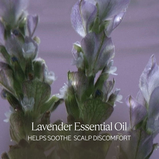 V2H1B3A9EC5FB27DB0B18FD8AFCBABE49F5R6240838P2