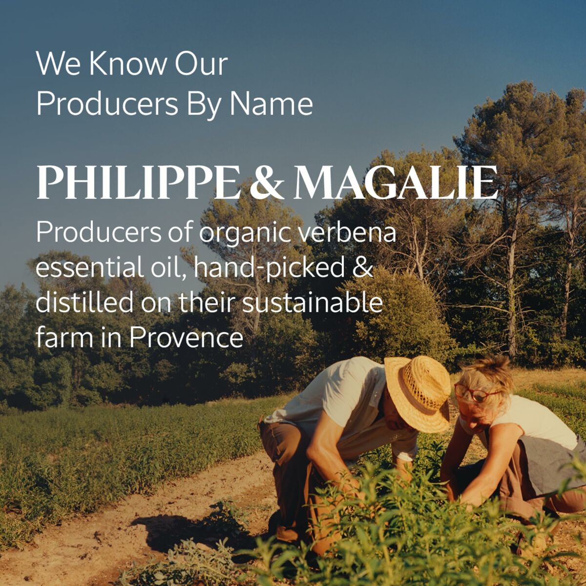 V2H5223C5744D5BB3A044AF530604157DC2R5915518P4