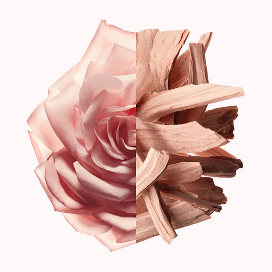 V3H33B8A5FDB6CD739A6CAB06FF9E7215C7R5674675P2