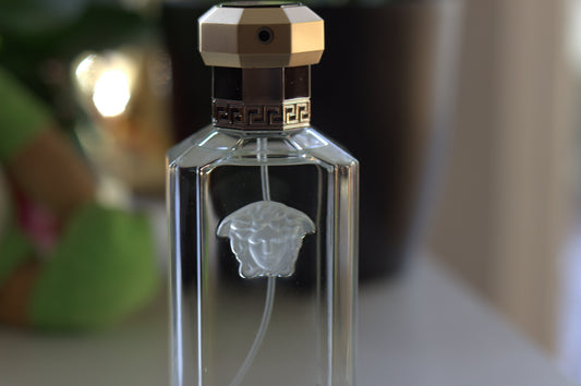 Parfum Homme Versace 8015150274166 EDT 100 ml