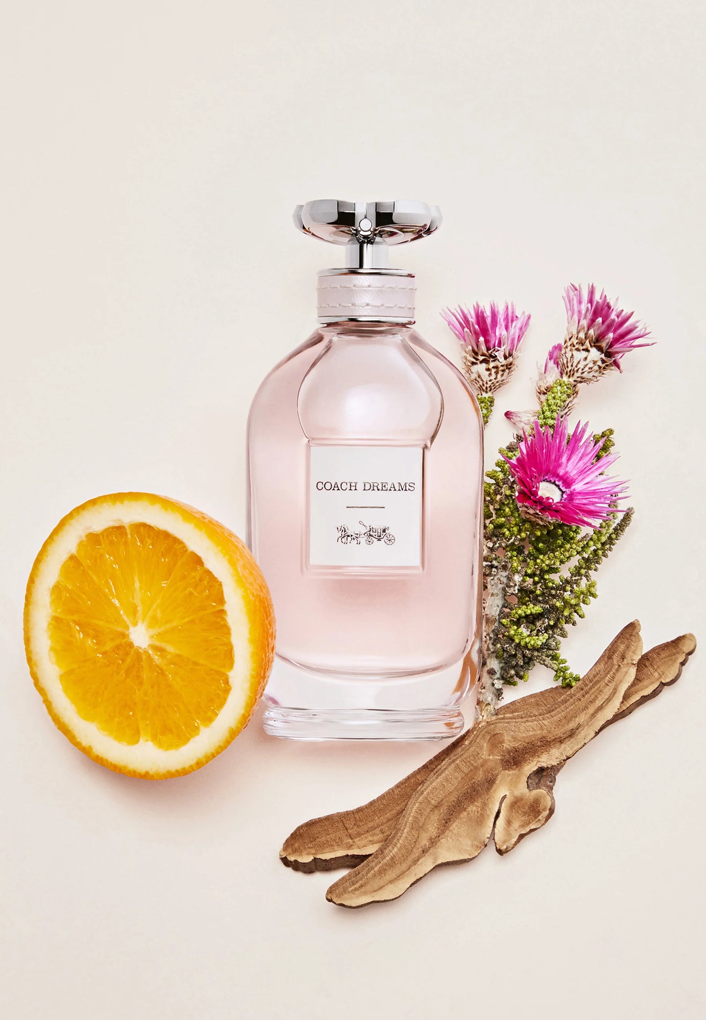 Parfum Femme Coach Dreams Coach EDP EDP