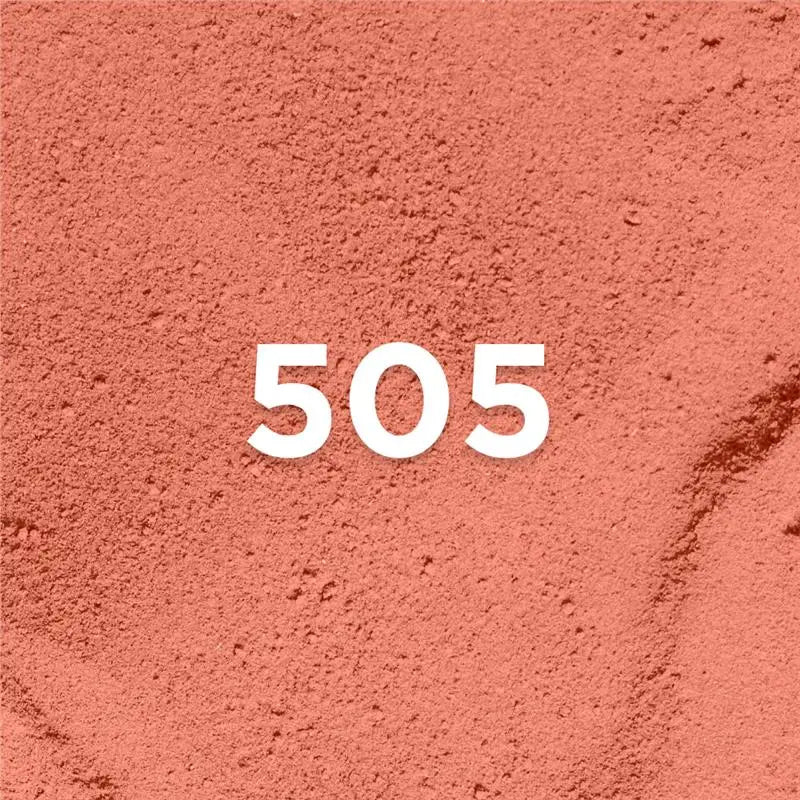 Rouge à lèvres L'Oreal Make Up Color Riche Nº 505 Le nude resilie 26 g
