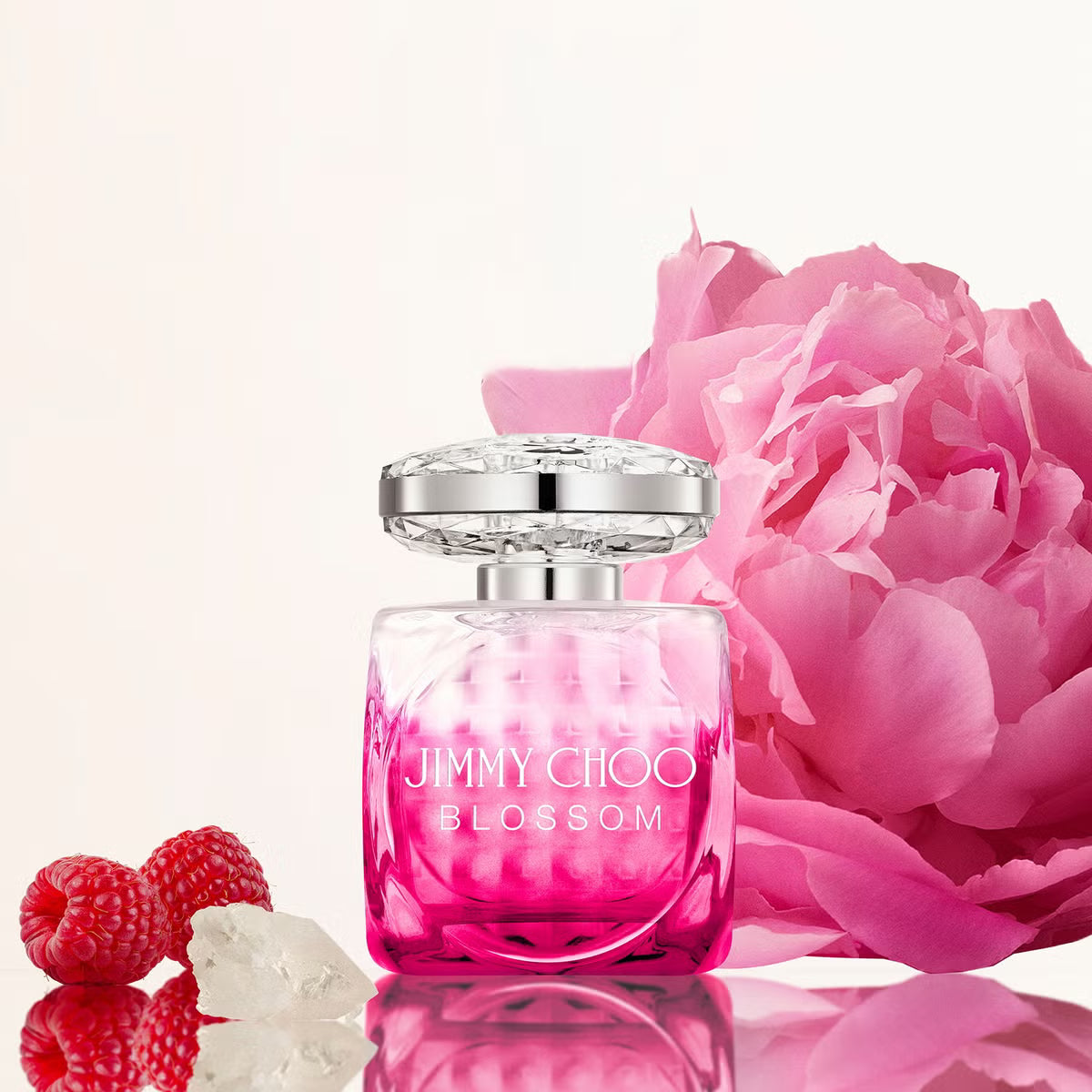 Parfum Femme Blossom Jimmy Choo EDP EDP