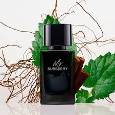 Parfum Homme Burberry Mr Burberry EDP