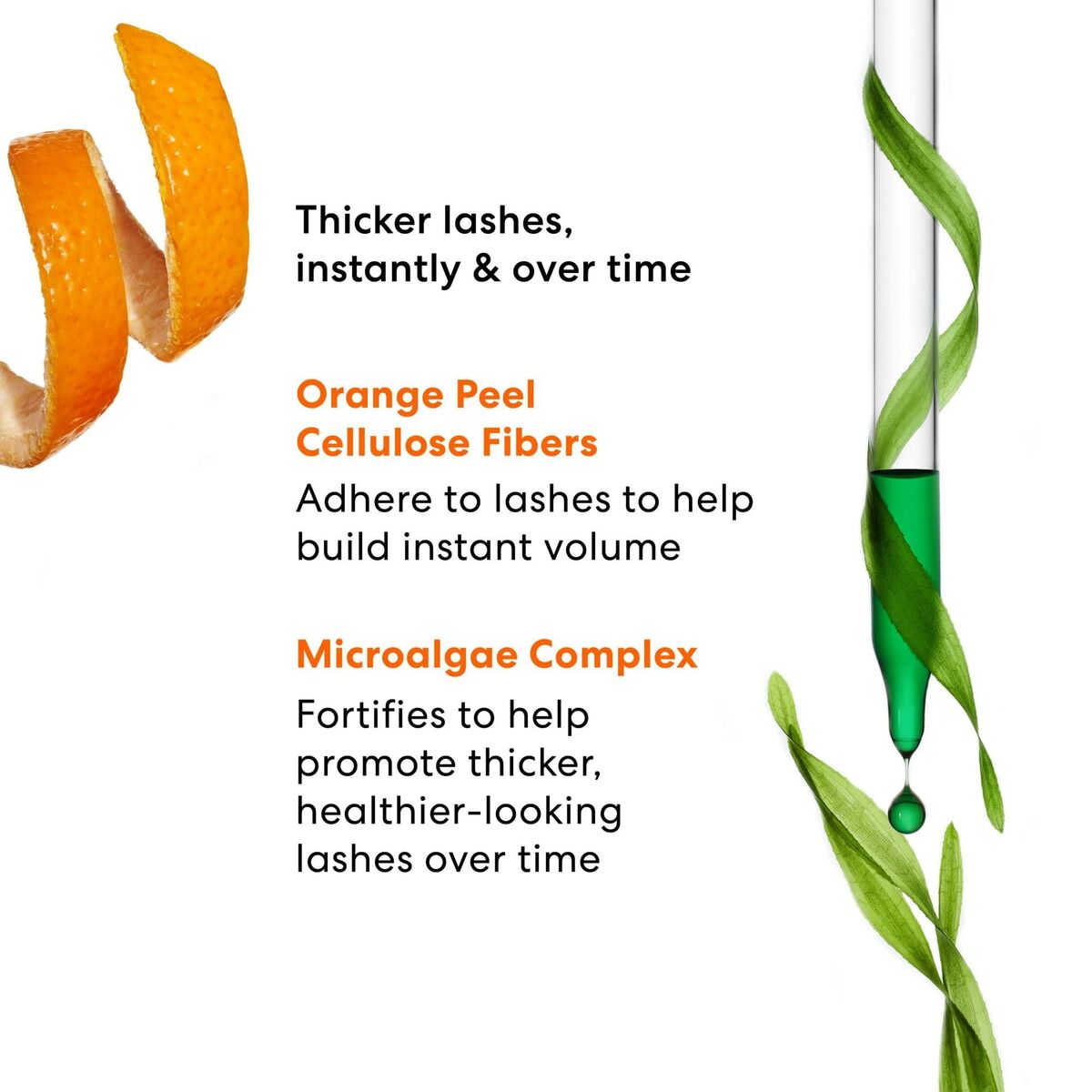 V2HA522CD3C881B897906B562D47189F976R6242039P4