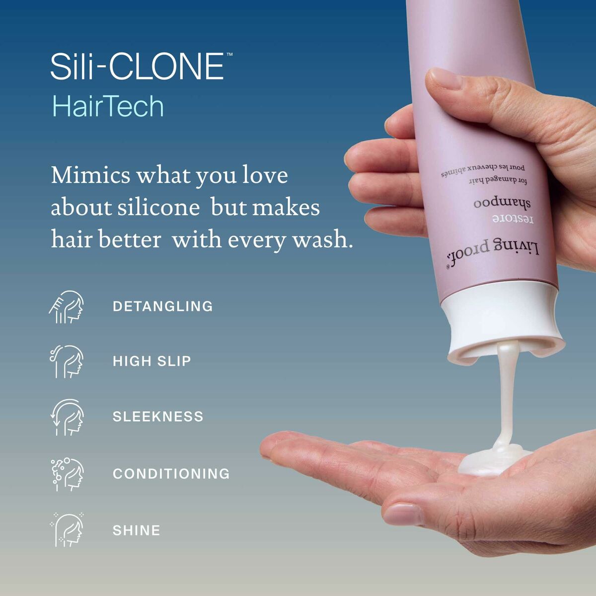 V2H01C9B856207ACB9838DF41D84D19F1A5R6241004P5