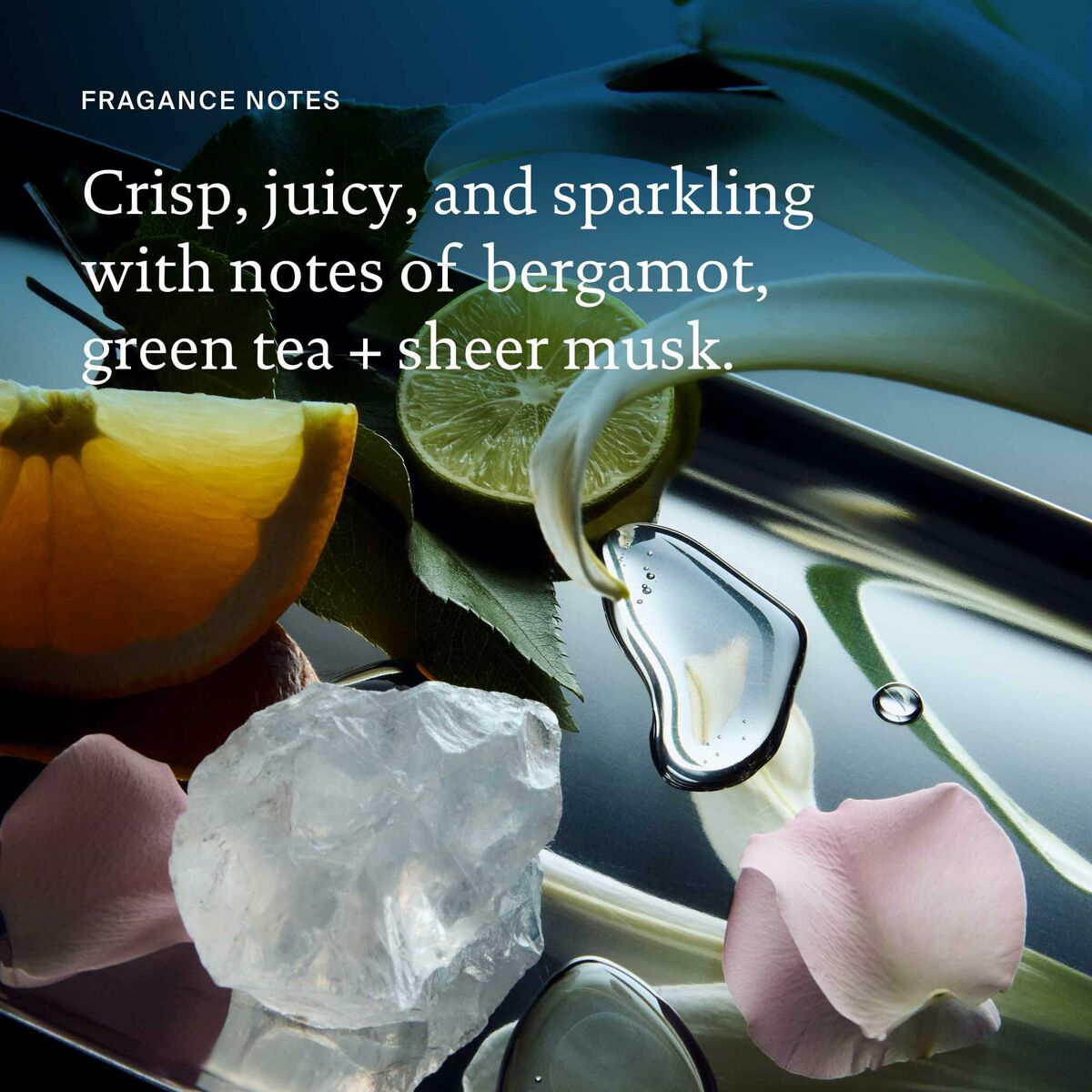 V2HEF1F97E2D19E5FF87B449255E77280C4R6241063P8