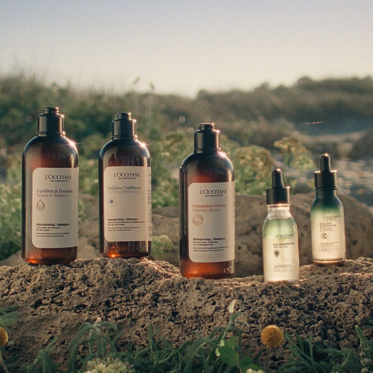 V2H2CAC01B5C553548181217143146B7CACR6240843P6