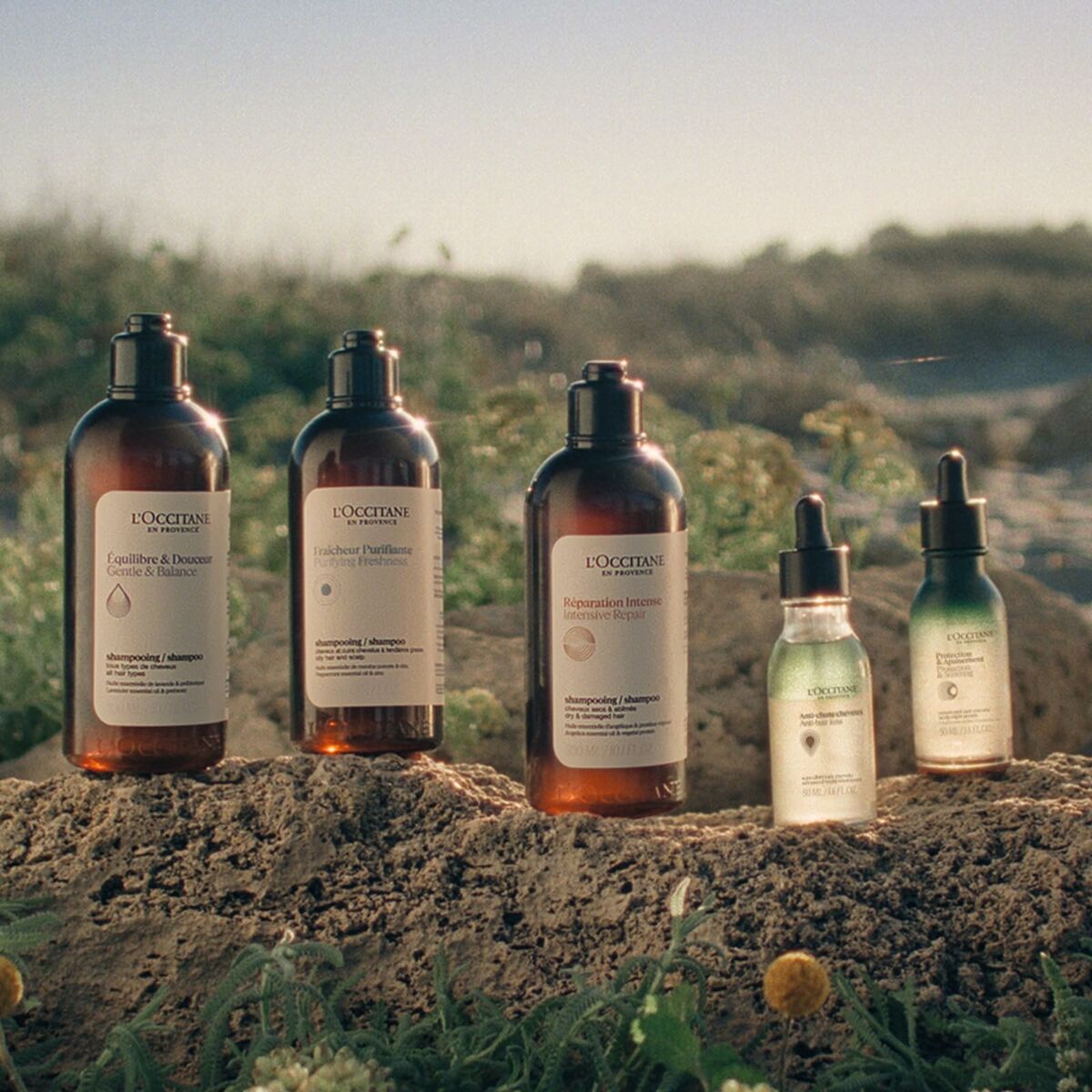 V2H7F8D07D427C38066C3BE3317E8635FF9R6240845P7