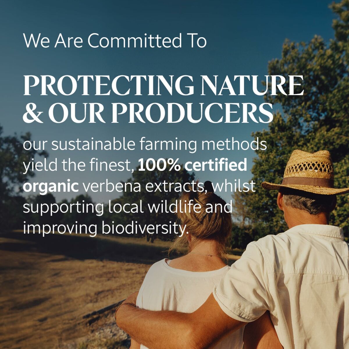 V2H8F6674695DC82BC54CAD433FCBEDA1FER5915515P3