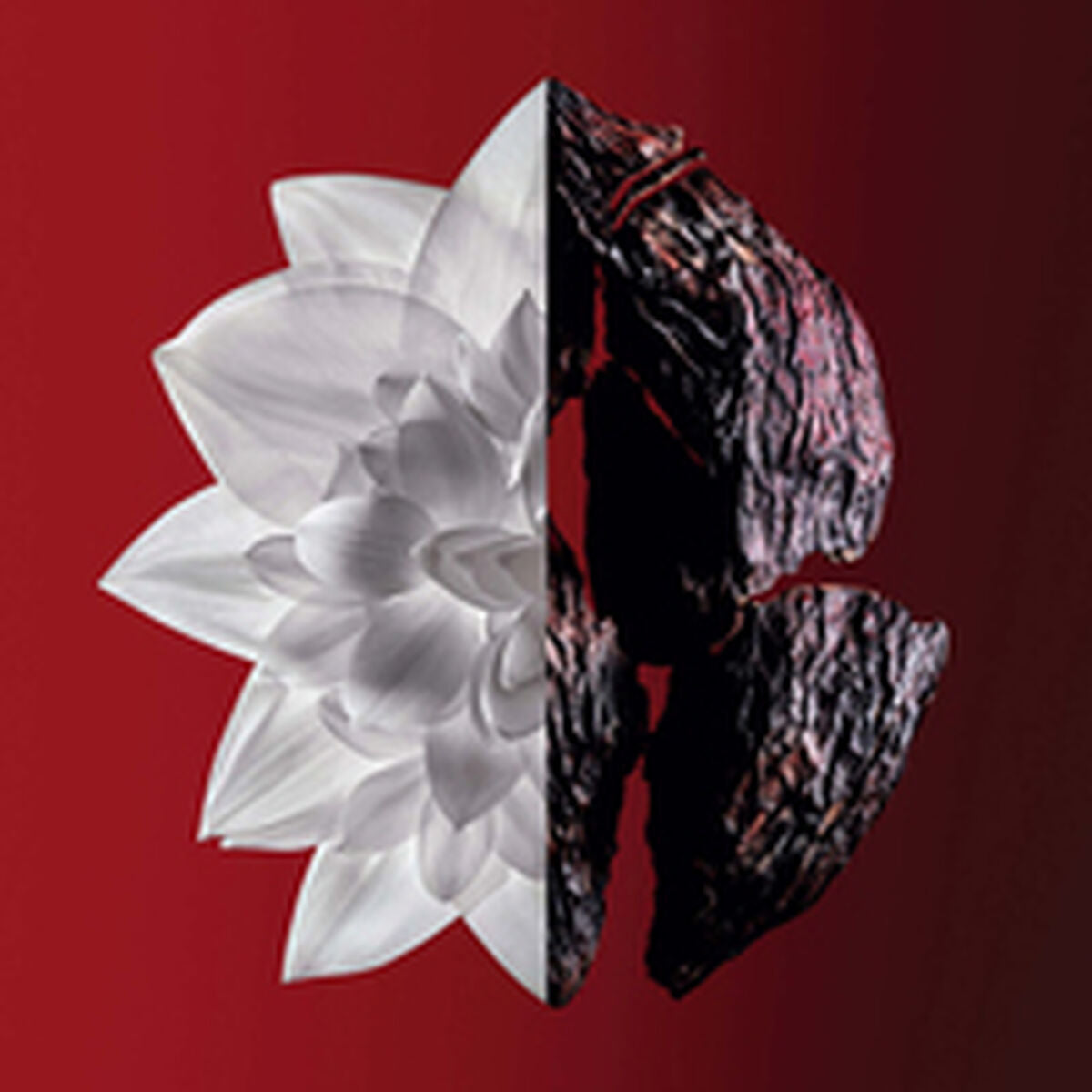 V3H31ED07083199FFF7BC3706E8C623D42BR5306329P3