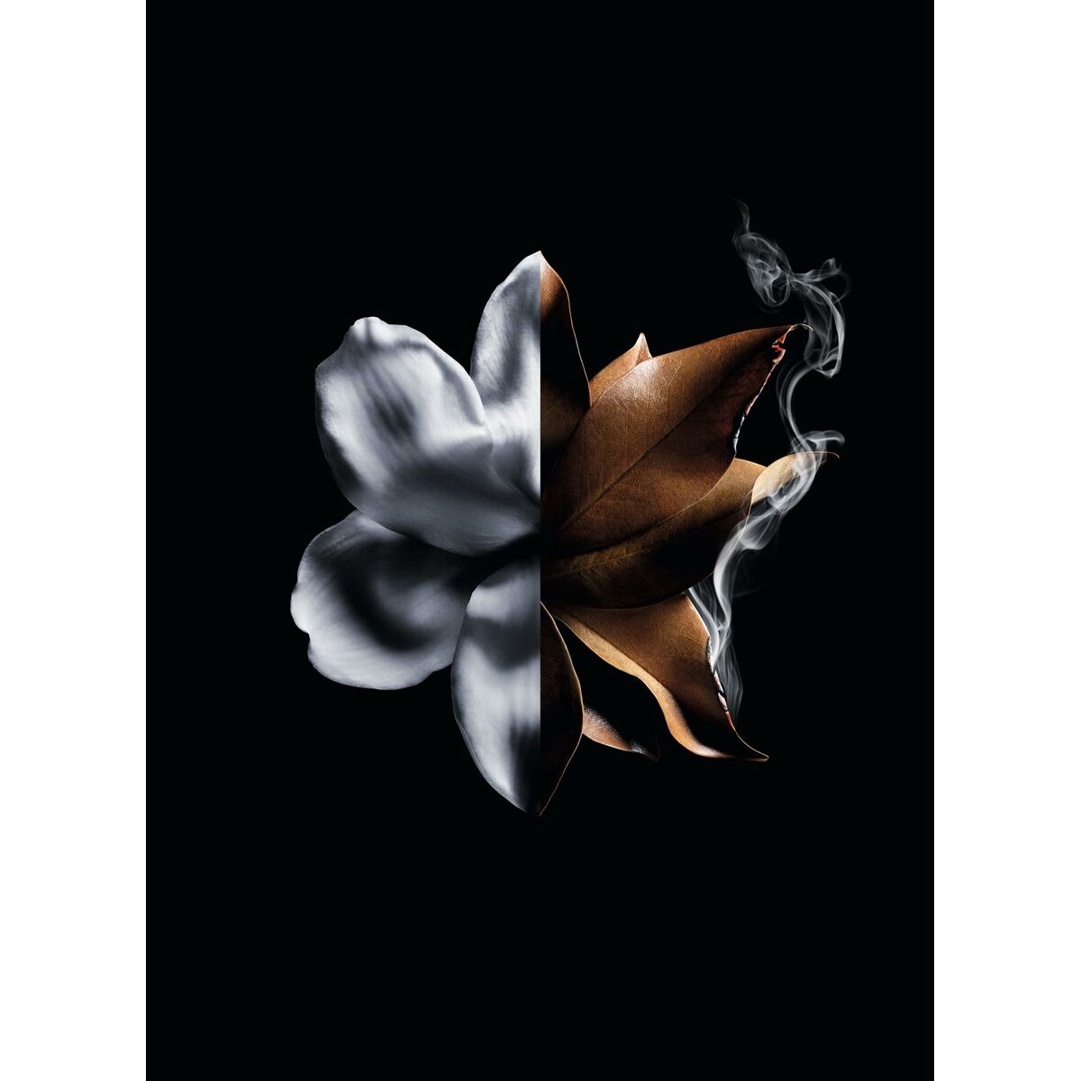 V2H6D187B862CABBC8A19A2635599B021AAR6240162P6