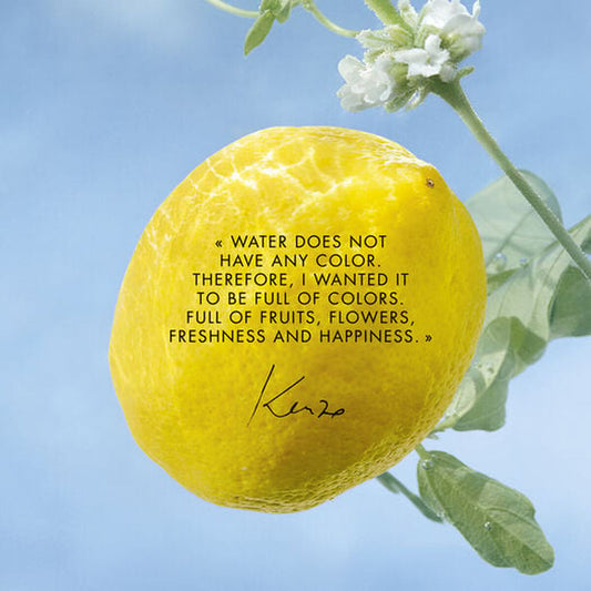 V2HBC71731DAF5104AAAA2B49070E9136AAR6241655P2