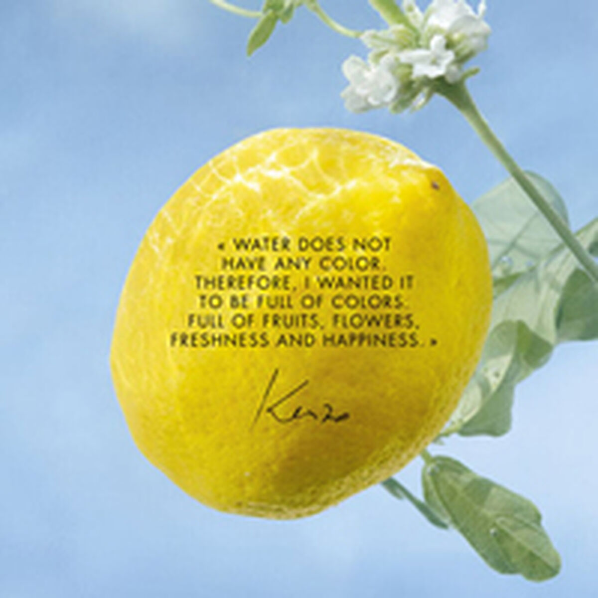 V2HC174F9A1E2C5E456128A851832BF5630R6241656P3