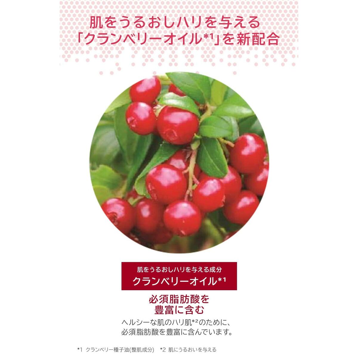 V2HD67DE474964D8F314B1CBB04F4EC5933R6241607P8