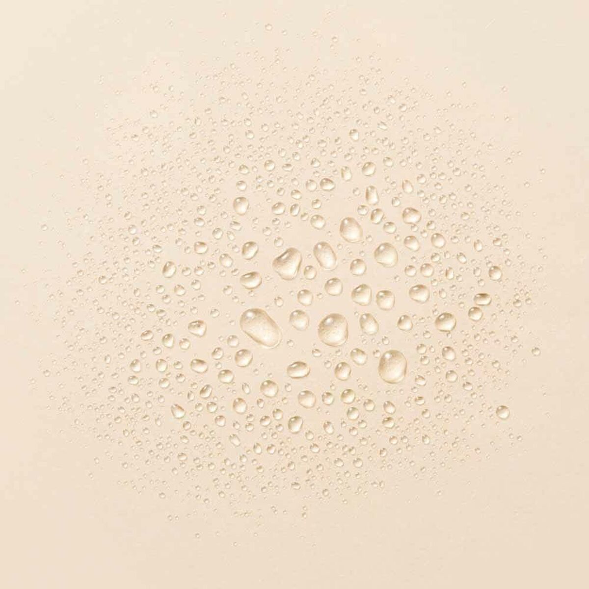 V2HF7D3158BE9B0E1A0D979753F9AA9E6ECR5625681P2