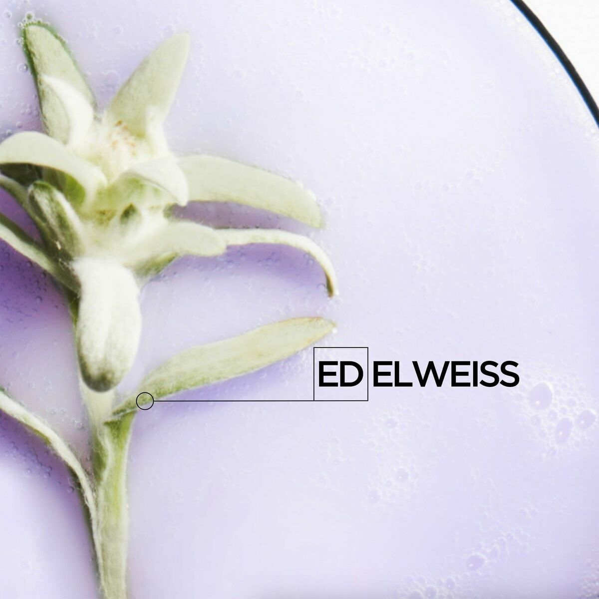 V2H6A50AC7A2B59FCA88C4D6CDF65733AC9R5681312P10