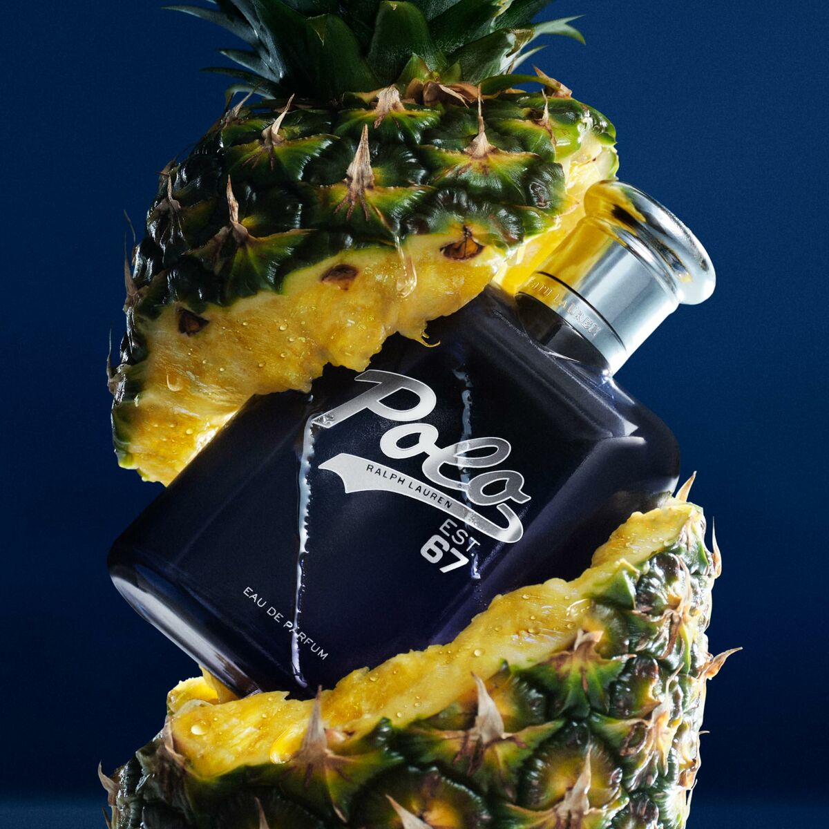 V2H560C1DD5631FEA1D151A3930149FB18CR6240212P6