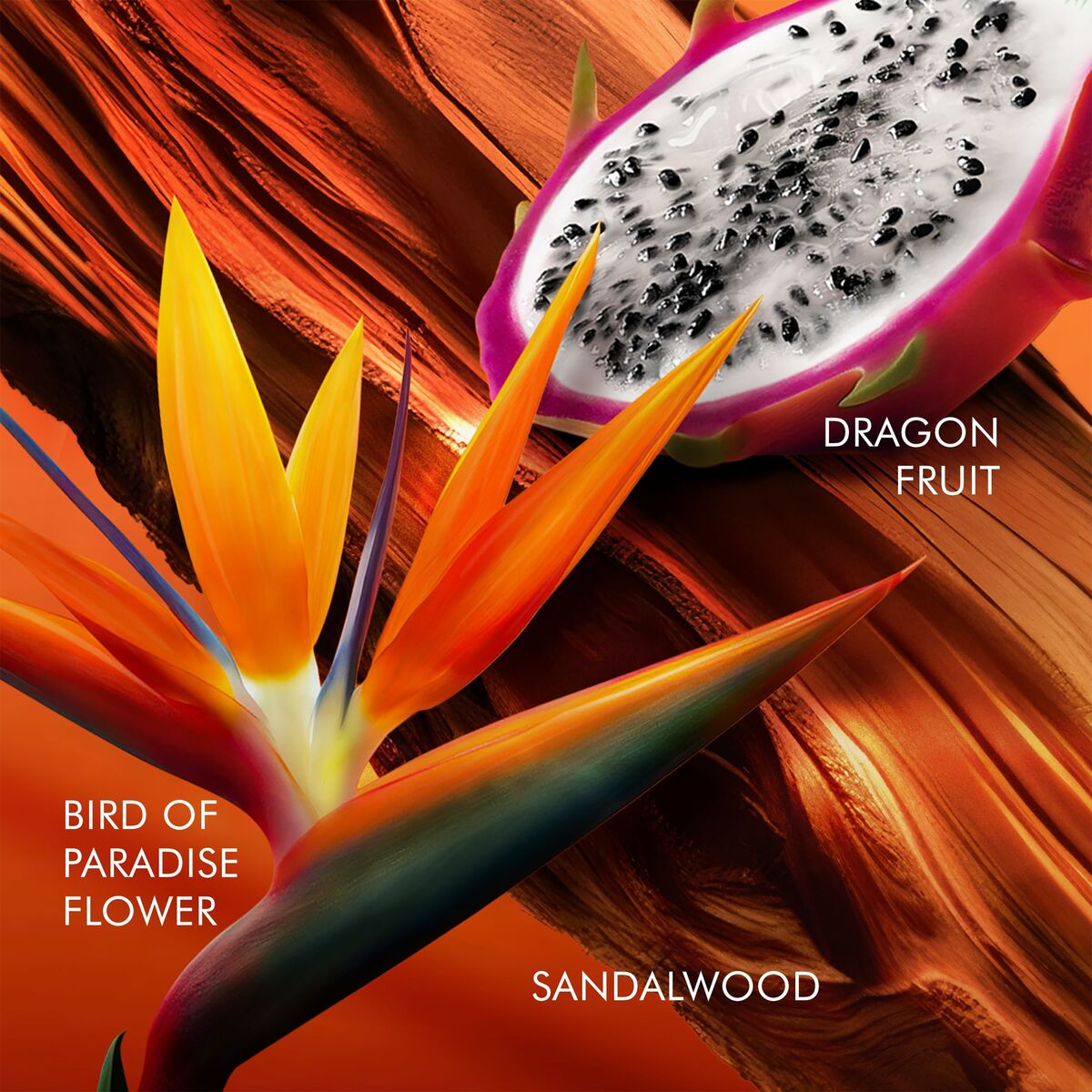 V2HA86C40A31125EDA3FF095F8F271E472DR6240784P3