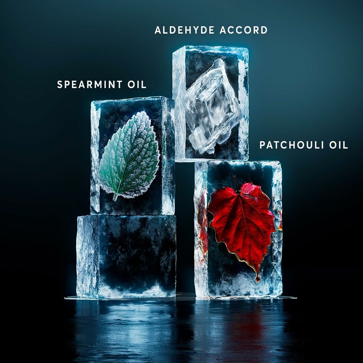 V2H8C9125D4AD77C40185D8DE53D8C5FB38R6239722P4