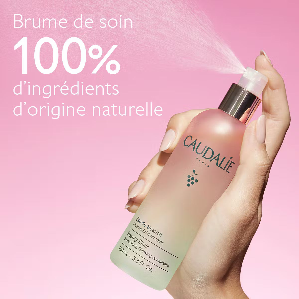 Eau de beauté Caudalie Eau De Beaute 100 ml Fixateur