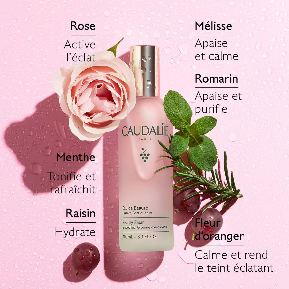 Eau de beauté Caudalie Eau De Beaute 100 ml Fixateur