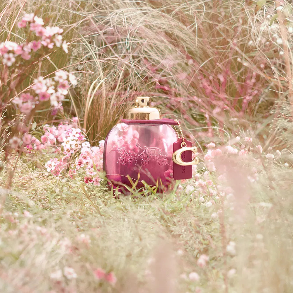 Parfum Femme Coach COACH WILD ROSE 30 ml