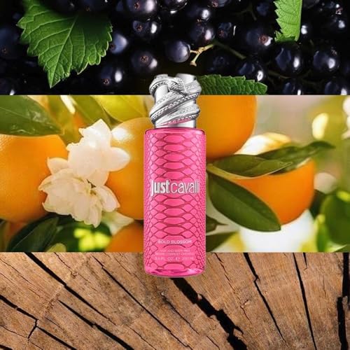 Parfum Femme Roberto Cavalli MIST ROBERTO CAVALLI 250 ml