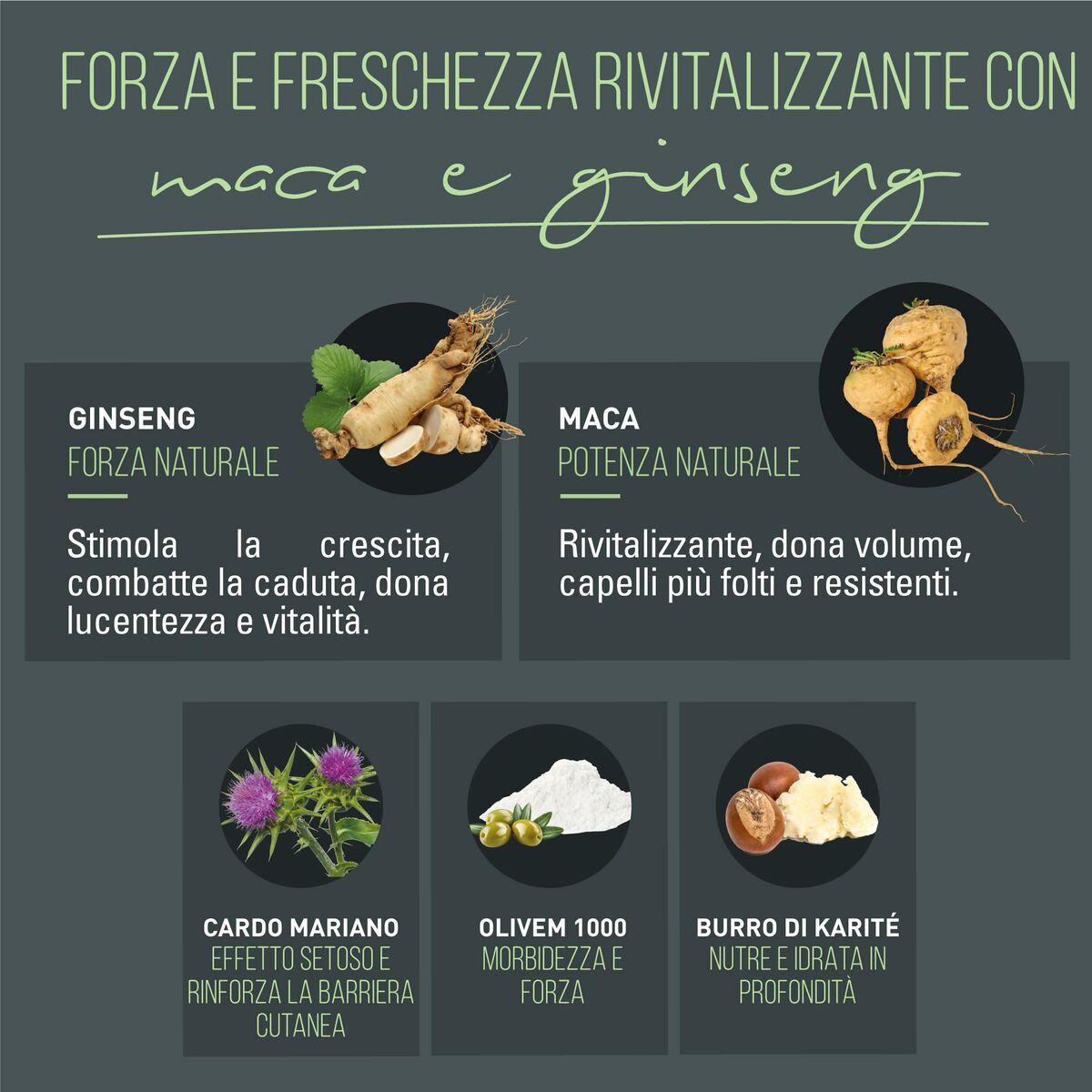 V2H5AB70EF53DBEFFC1D2E4F699CDE2026BR6240244P3