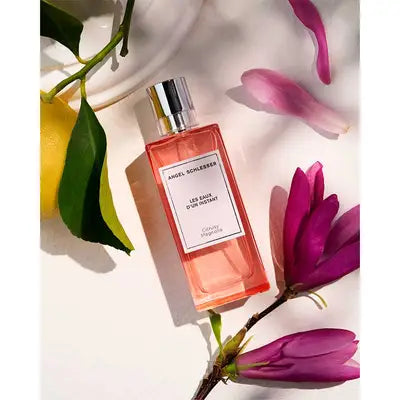 Parfum Unisexe Angel Schlesser LES EAUX D'UN INSTANT EDT 100 ml