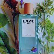 Parfum Unisexe Loewe Aire Anthesis EDP 100 ml