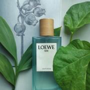 Parfum Unisexe Loewe Aire Anthesis EDP 100 ml