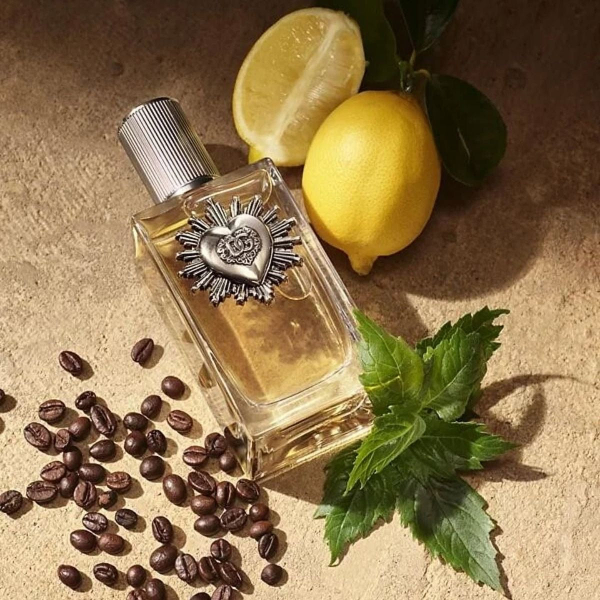 Parfum Homme Dolce & Gabbana DEVOTION POUR HOMME EDP 50 ml