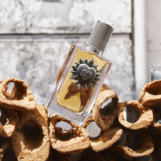 Parfum Homme Dolce & Gabbana DEVOTION POUR HOMME EDP 50 ml