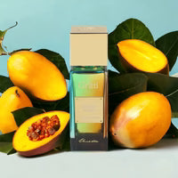 Parfum Unisexe Gritti MANGO AOUD EDP 100 ml