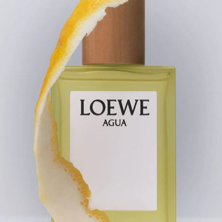 Parfum Unisexe Loewe AGUA DE LOEWE ELLA EDT 100 ml