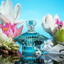 Parfum Femme Britney Spears 11331 EDP 100 ml