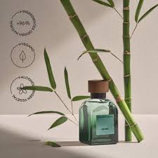 Parfum Homme Adolfo Dominguez Bambú 120 ml