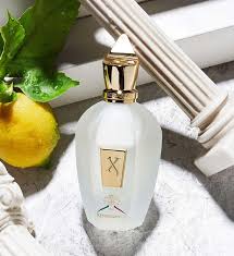 Parfum Unisexe Xerjoff RENAISSANCE EDP 100 ml