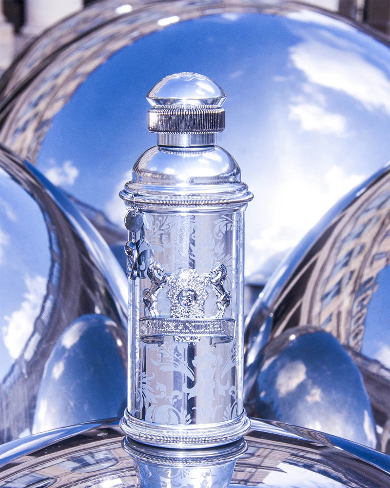 Parfum Unisexe Alexandre J SILVER OMBRE 100 ml