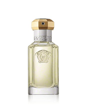 Parfum Homme Versace 8015150274166 EDT 100 ml